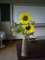 講話室の花